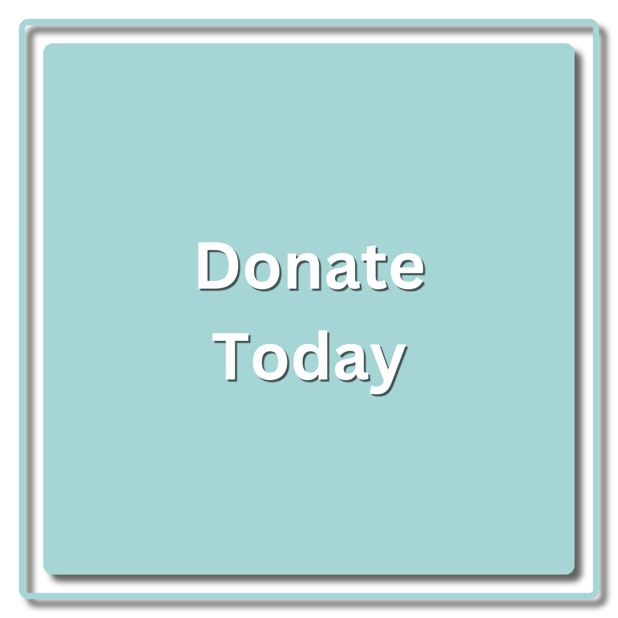 Donate Button