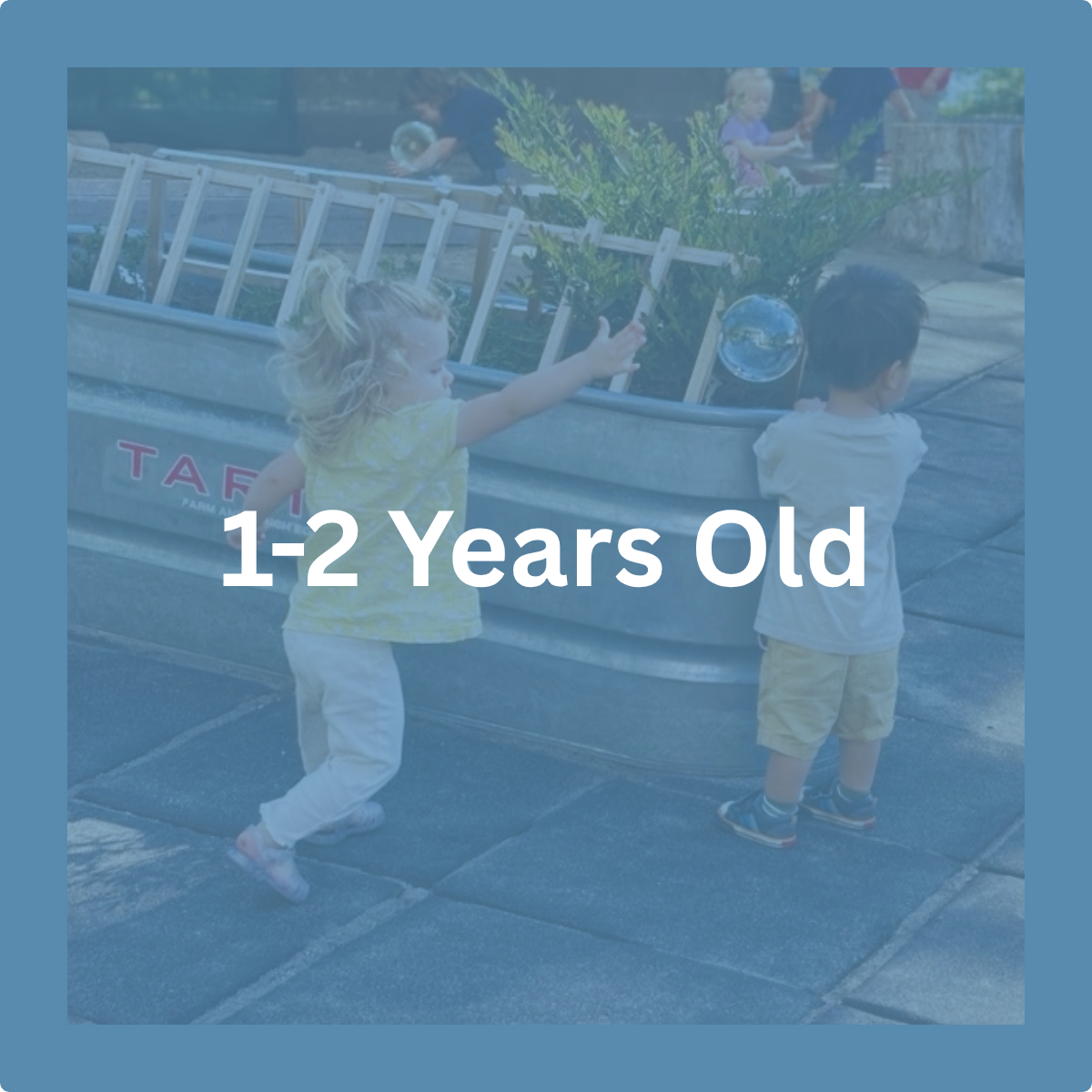 1 to 2 Years
