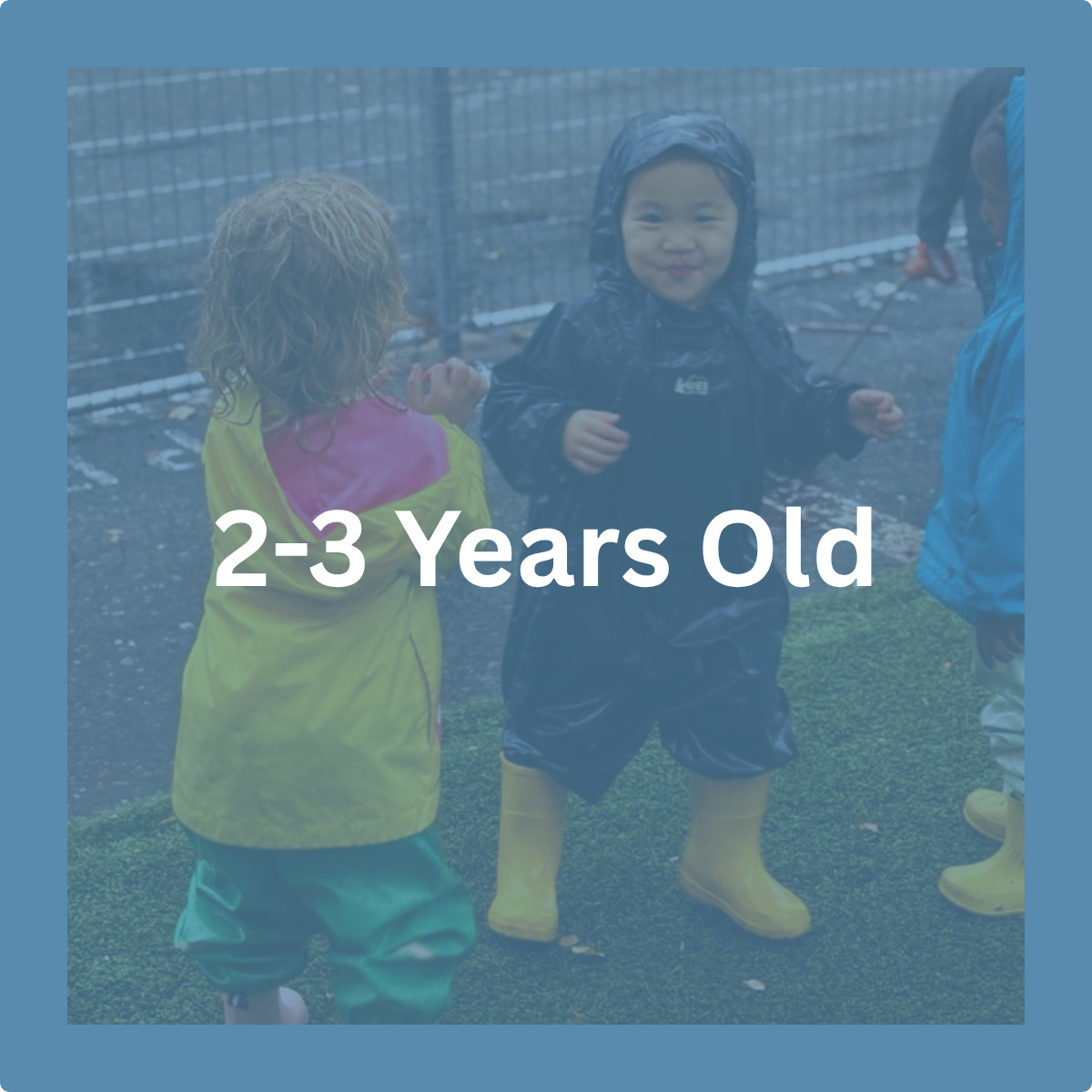 2-3 Years Old