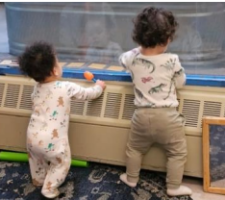 Infants for Website